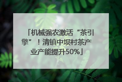 机械强农激活“茶引擎”！清镇中坝村茶产业产能提升50%
