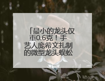 最小的龙头仅重0.6克！手艺人庞希文扎制的微型龙头蜈蚣风筝惊艳亮相