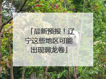 最新预报！辽宁这些地区可能出现弱龙卷