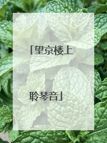 望京楼上聆琴音
