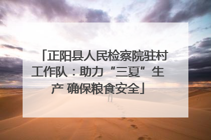 正阳县人民检察院驻村工作队：助力“三夏”生产 确保粮食安全