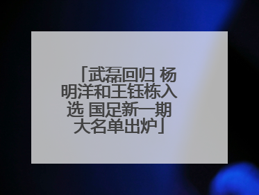 武磊回归 杨明洋和王钰栋入选 国足新一期大名单出炉