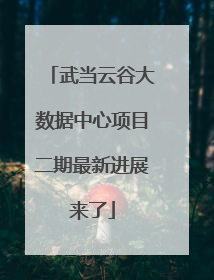 武当云谷大数据中心项目二期最新进展来了