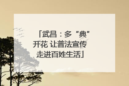 武昌：多“典”开花 让普法宣传走进百姓生活