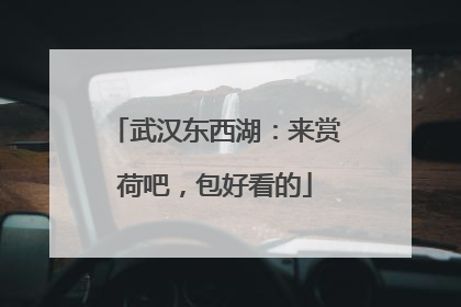 武汉东西湖：来赏荷吧，包好看的