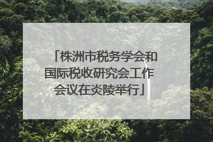 株洲市税务学会和国际税收研究会工作会议在炎陵举行