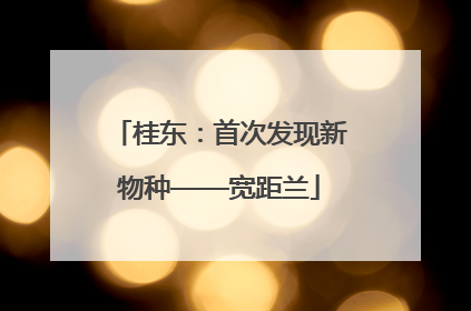 桂东：首次发现新物种——宽距兰