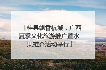 桂果飘香杭城，广西夏季文化旅游推广暨水果推介活动举行