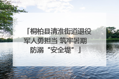桐柏县清淮街道退役军人勇担当 筑牢暑期防溺“安全堤”