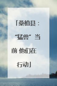 桑植县：“猛兽”当前 他们在行动