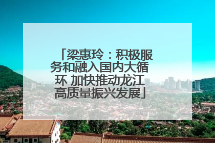 梁惠玲：积极服务和融入国内大循环 加快推动龙江高质量振兴发展