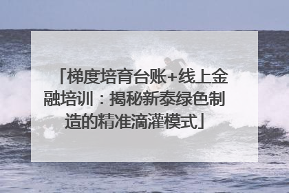 梯度培育台账+线上金融培训：揭秘新泰绿色制造的精准滴灌模式