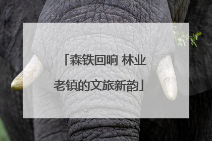 森铁回响 林业老镇的文旅新韵