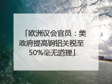 欧洲议会官员：美政府提高钢铝关税至50%毫无道理