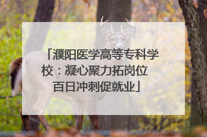 濮阳医学高等专科学校：凝心聚力拓岗位 百日冲刺促就业