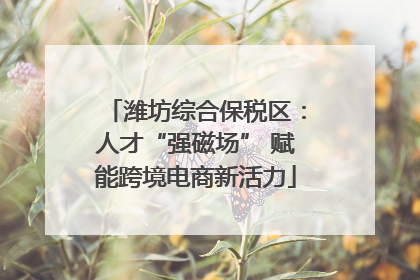 潍坊综合保税区：人才“强磁场” 赋能跨境电商新活力