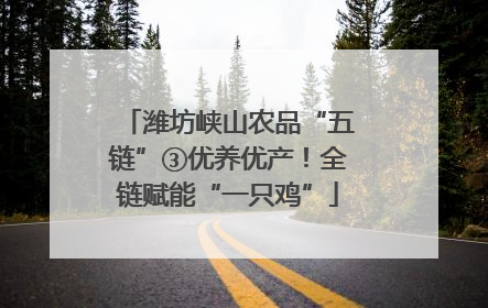 潍坊峡山农品“五链”③优养优产！全链赋能“一只鸡”