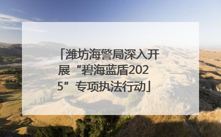潍坊海警局深入开展“碧海蓝盾2025”专项执法行动