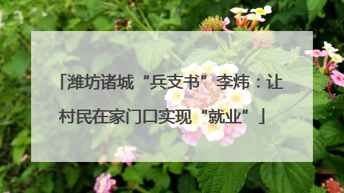 潍坊诸城“兵支书”李炜：让村民在家门口实现“就业”