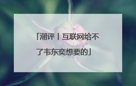 潮评丨互联网给不了韦东奕想要的
