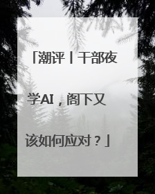 潮评丨干部夜学AI，阁下又该如何应对？