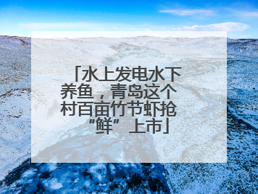 水上发电水下养鱼，青岛这个村百亩竹节虾抢“鲜”上市