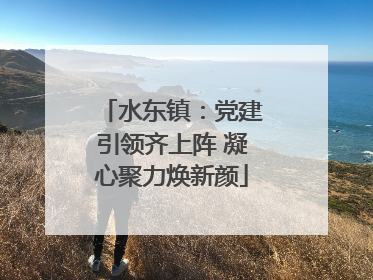 水东镇：党建引领齐上阵 凝心聚力焕新颜