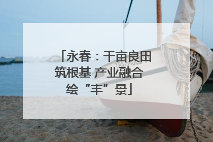 永春：千亩良田筑根基 产业融合绘“丰”景