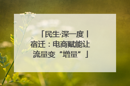 民生·深一度丨宿迁：电商赋能让流量变“增量”
