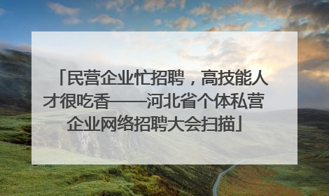 民营企业忙招聘，高技能人才很吃香——河北省个体私营企业网络招聘大会扫描