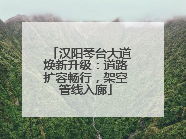 汉阳琴台大道焕新升级：道路扩容畅行，架空管线入廊