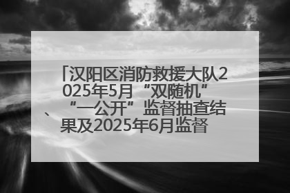 汉阳区消防救援大队2025年5月“双随机”、“一公开”监督抽查结果及2025年6月监督抽查任务公示