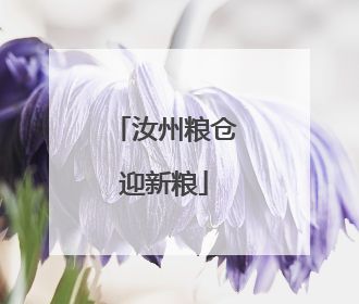 汝州粮仓迎新粮