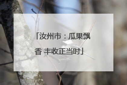 汝州市：瓜果飘香 丰收正当时