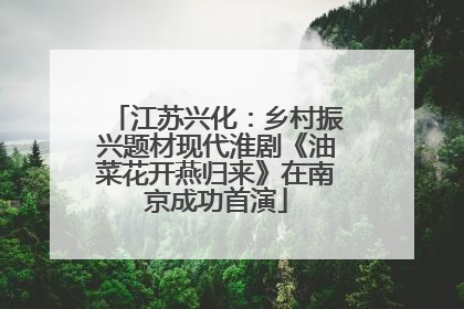 江苏兴化：乡村振兴题材现代淮剧《油菜花开燕归来》在南京成功首演