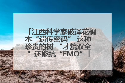 江西科学家破译花榈木“遗传密码” 这种珍贵的树 “才貌双全”还能抗“EMO”