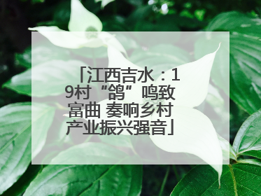 江西吉水：19村“鸽”鸣致富曲 奏响乡村产业振兴强音