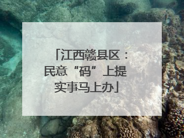 江西赣县区：民意“码”上提 实事马上办