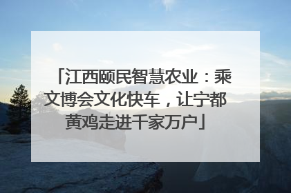 江西颐民智慧农业：乘文博会文化快车，让宁都黄鸡走进千家万户