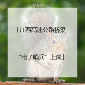 江西高速公路桥梁“电子哨兵”上岗