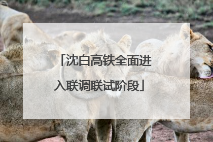 沈白高铁全面进入联调联试阶段