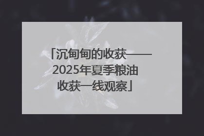 沉甸甸的收获——2025年夏季粮油收获一线观察