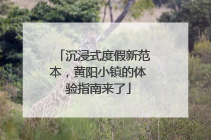 沉浸式度假新范本，黄阳小镇的体验指南来了