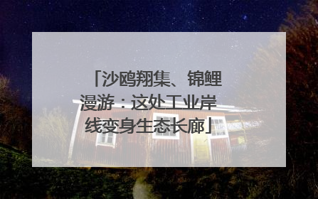 沙鸥翔集、锦鲤漫游：这处工业岸线变身生态长廊