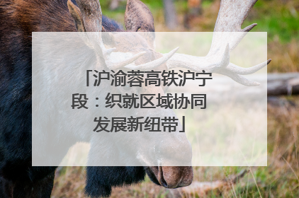 沪渝蓉高铁沪宁段：织就区域协同发展新纽带