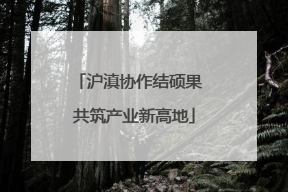 沪滇协作结硕果 共筑产业新高地