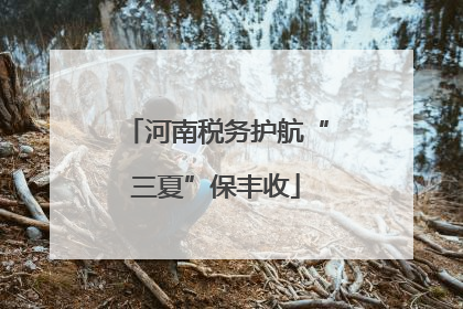河南税务护航“三夏”保丰收
