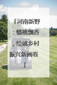 河南新野：蟠桃飘香，绘就乡村振兴新画卷