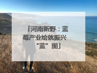 河南新野：蓝莓产业绘就振兴“蓝”图
