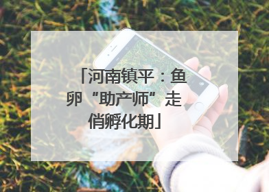 河南镇平：鱼卵“助产师”走俏孵化期